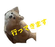 844098458