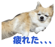 844098460