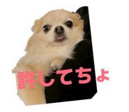 844098462