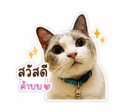 844099389