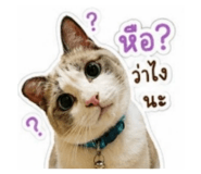 844099390