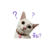 844099628