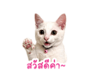 844099632