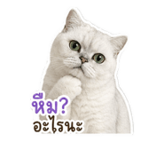 844100796