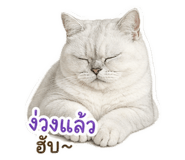 844100802