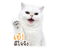 844100804