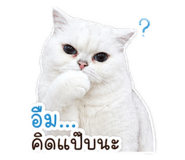 844100808