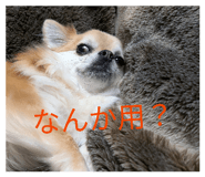 844101430