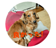844101585