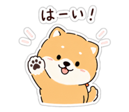 844103149