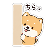 844103155