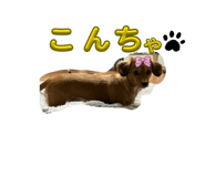 844103403