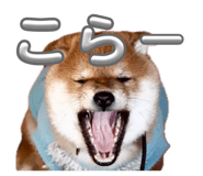 844103668