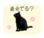 844104429