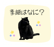 844104437