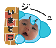 844105003