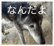 844105031