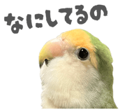 844105123