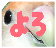 844105129