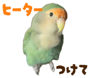 844105130