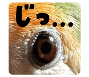 844105136