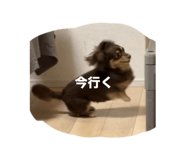 844105603
