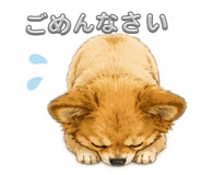 844106506