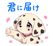 844106685