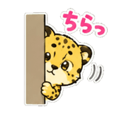 844107400