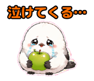 844108084