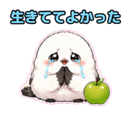 844108097