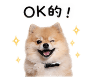 844109165