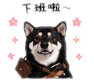 844109182