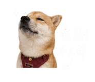 844109401