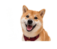 844109404