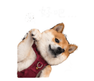 844109417