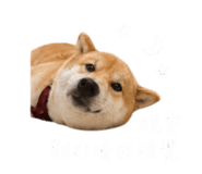 844109424