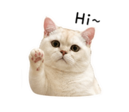 844110610