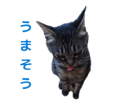844111469