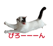 844111471