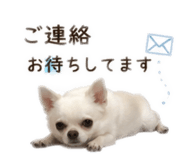 844111610