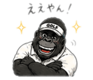 844112081
