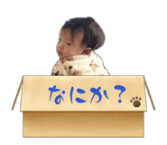 844112157