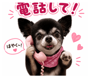 844112390