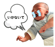 844112531