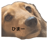 844112569