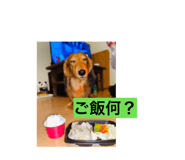 844112573