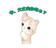 844113087