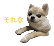 844113158