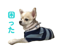 844113175